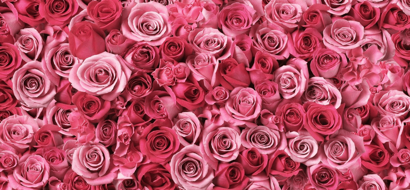 mariageluxerose GT'Luxury